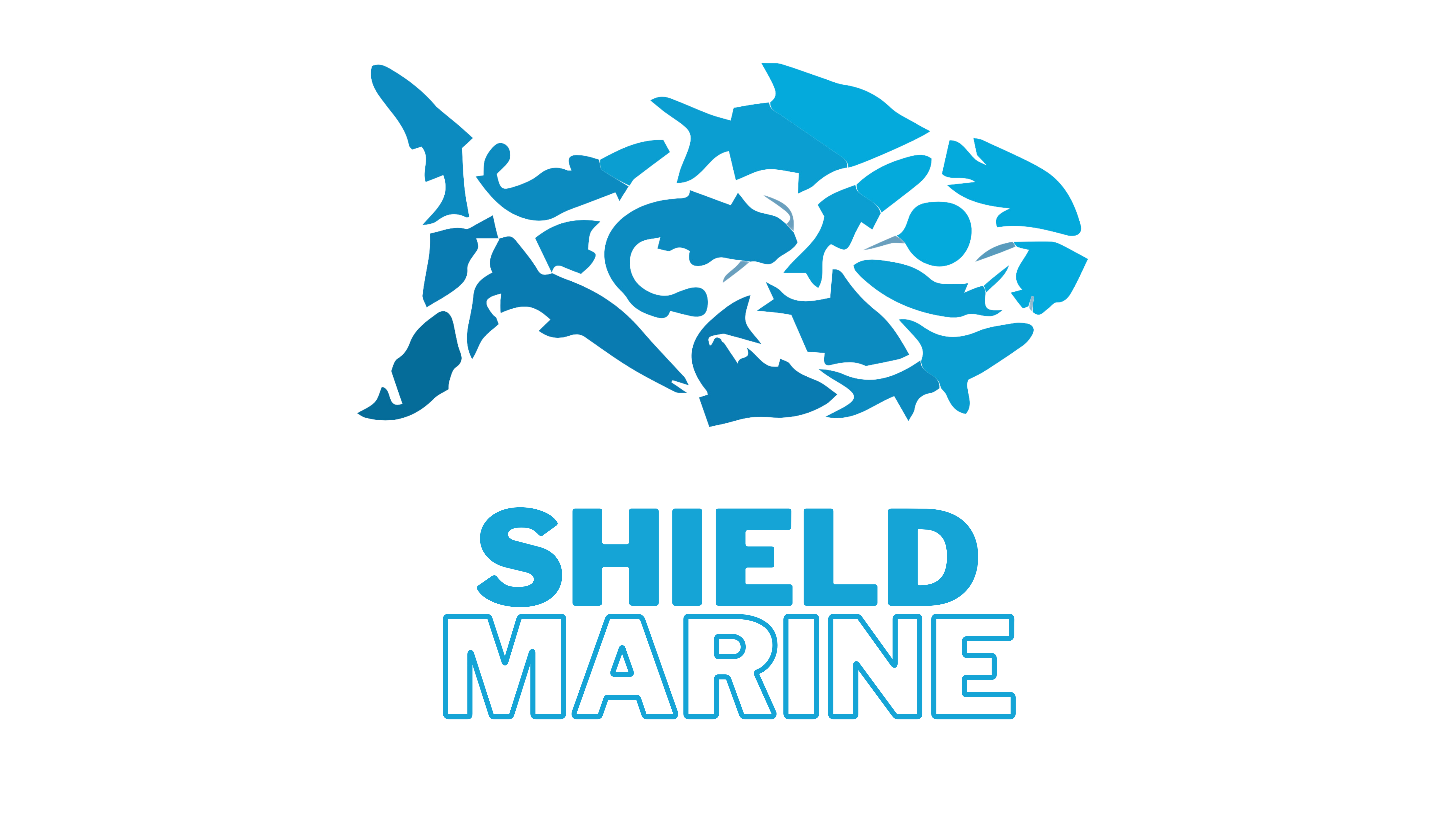 SHIELD MARINE