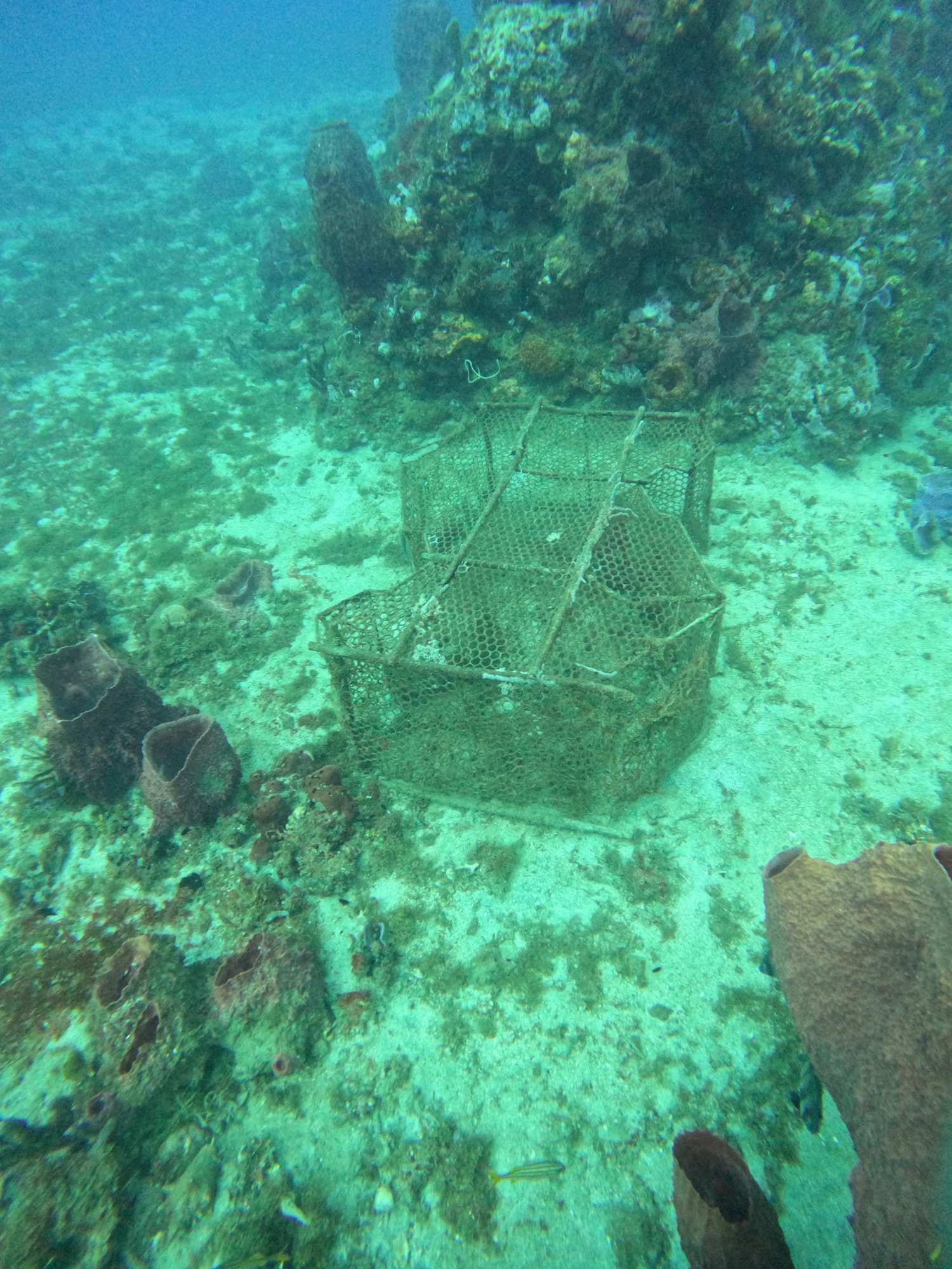 Casier de pêche abandonné