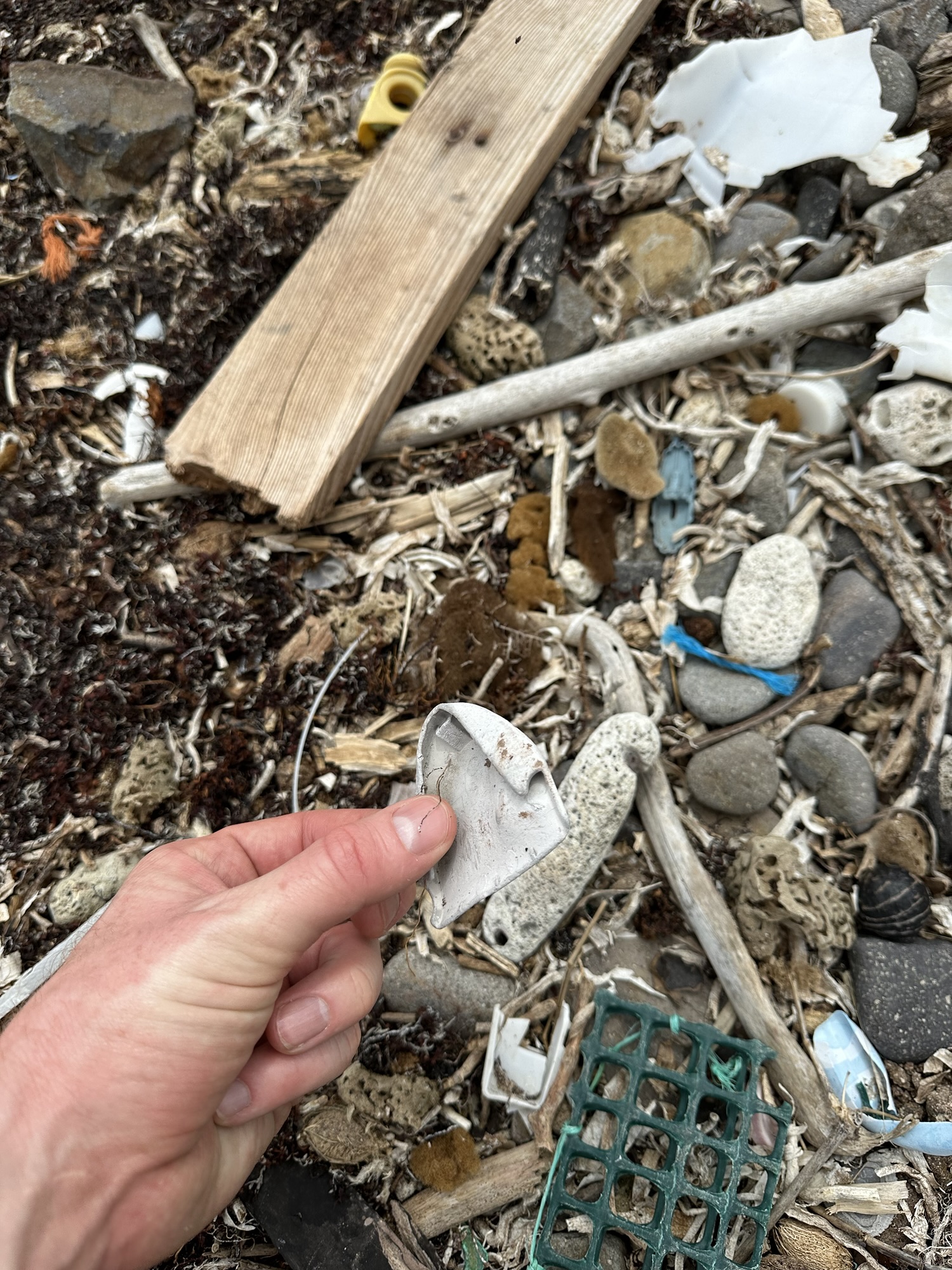 Microplastiques sur la plage