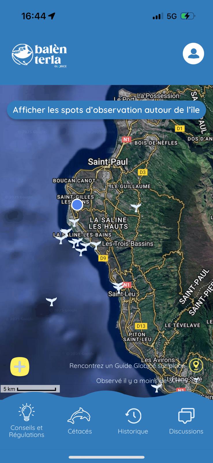 Capture écran de l’application Balèn Terla pour l’observation des cétacés